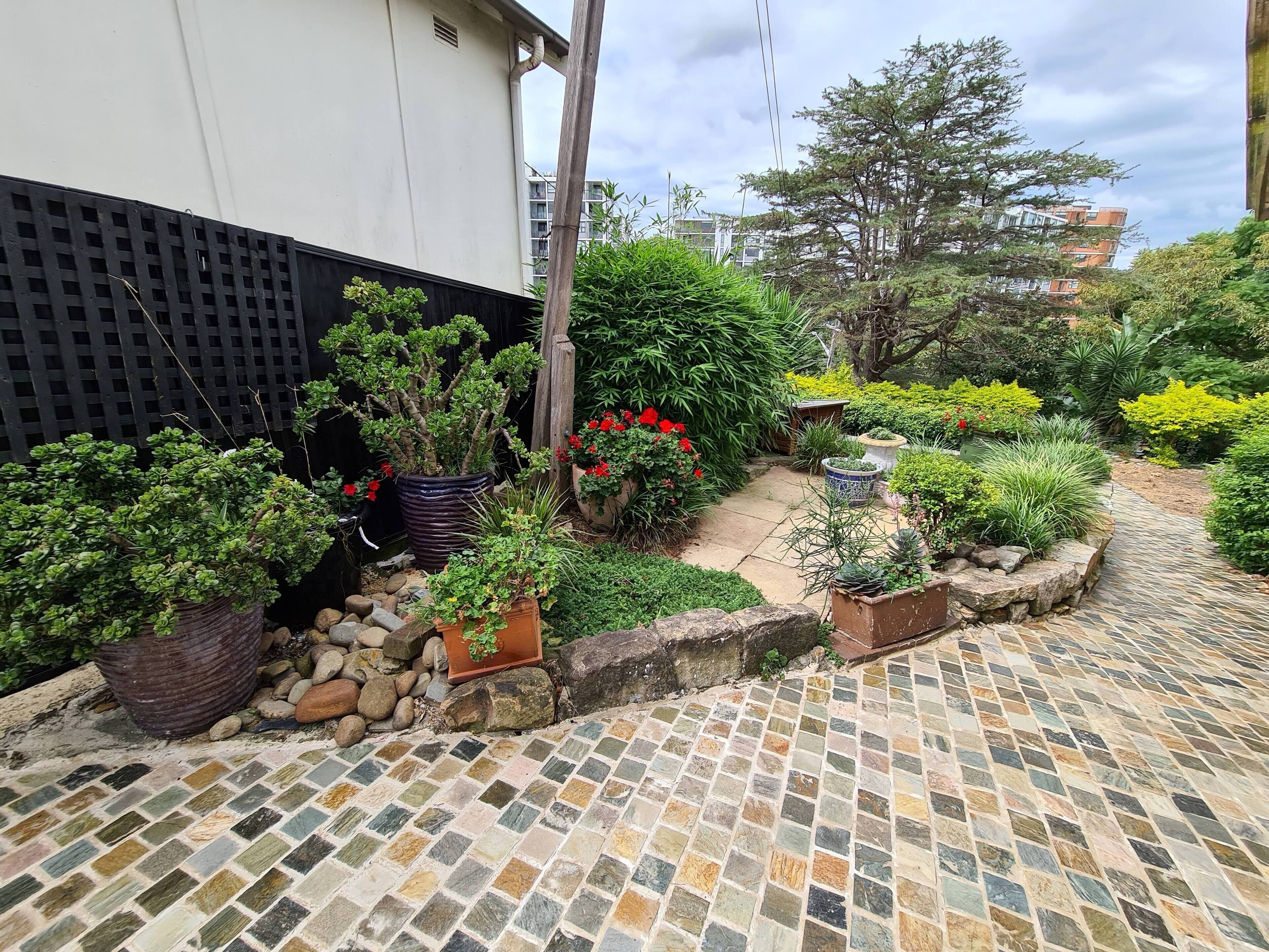 Un jardín con plantas diversas en macetas y un sendero con baldosas.