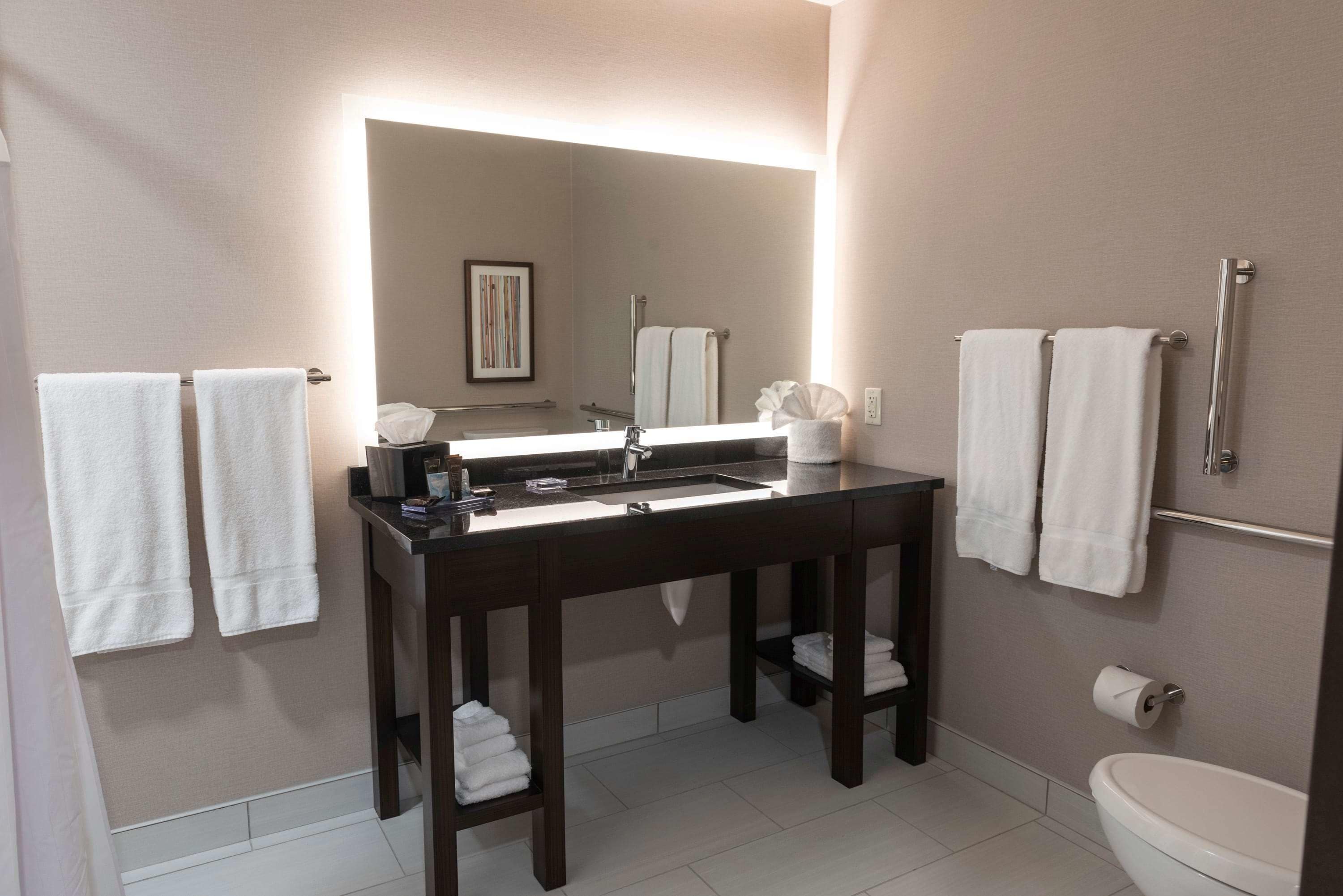 combined shower/bathtub, free toiletries, hair dryer, towels