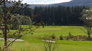 Un campo da golf con diverse aree verdi e bunker sabbiosi, immerso in fitte foreste e colline.