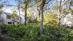 Property grounds - Ocean Breeze 9 (Hilton Head Island)