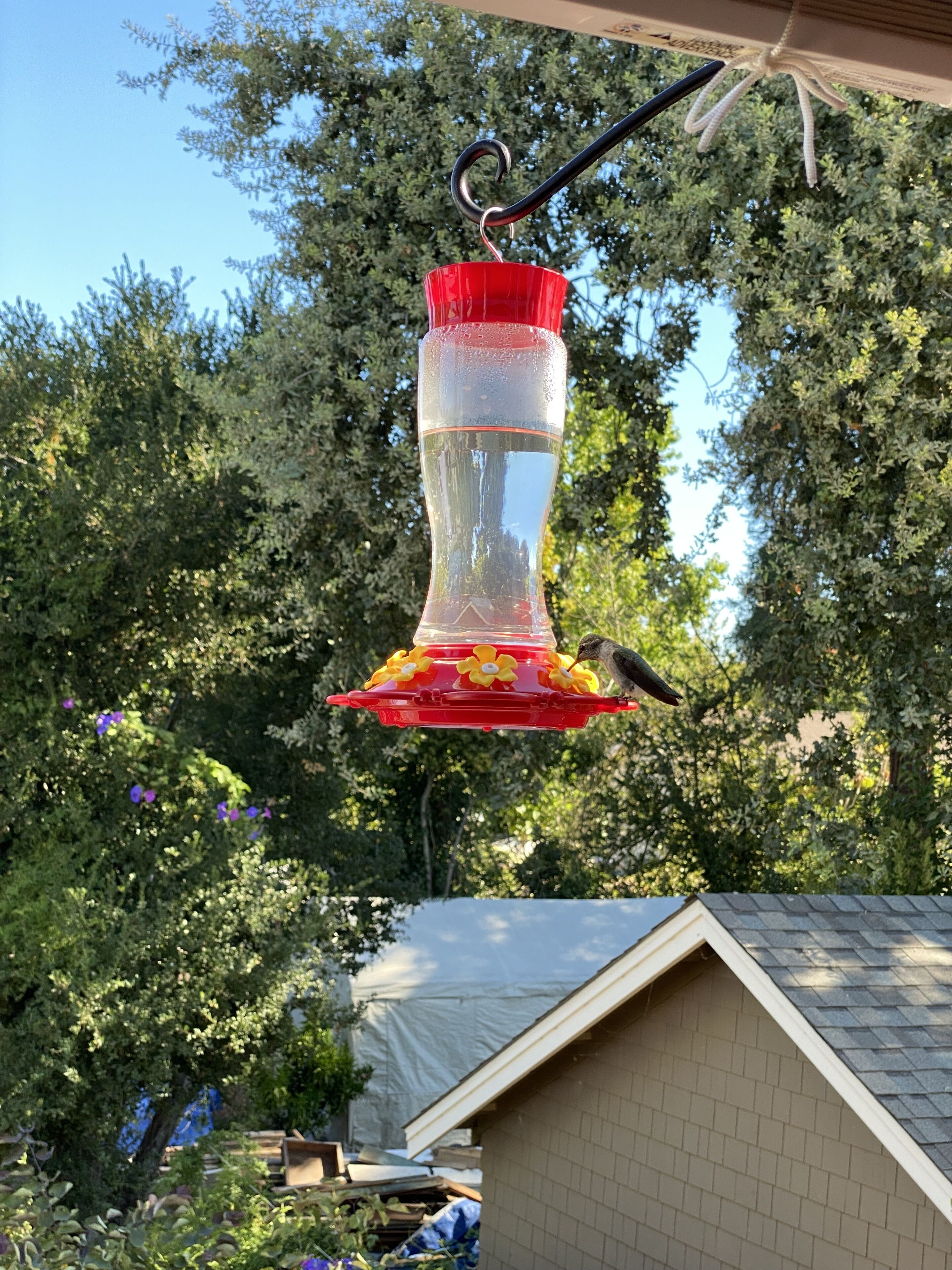 Premium bedding, in-room safe, individually decorated
