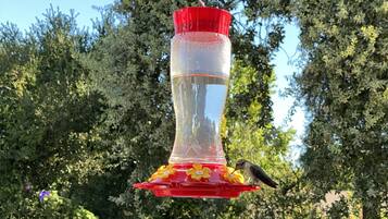 Ropa de cama de alta calidad y caja de seguridad en la habitación