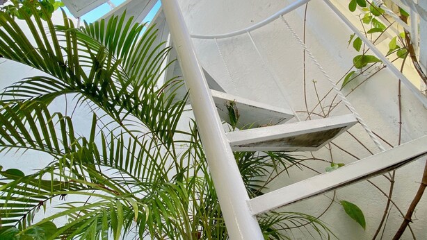 Eine Wendeltreppe mit weißen Geländern und üppiger Bepflanzung.