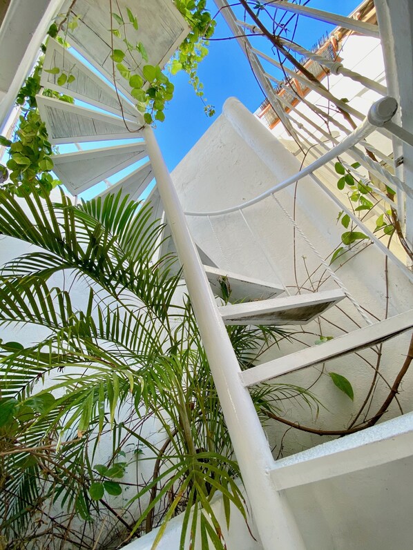 Uma escadaria em espiral com corrimãos brancos e vegetação ao redor.