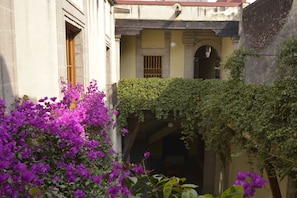 A courtyard with a covered area, a wooden door, and purple bougainvillea plants. - Seminario 12 (Mexico City)