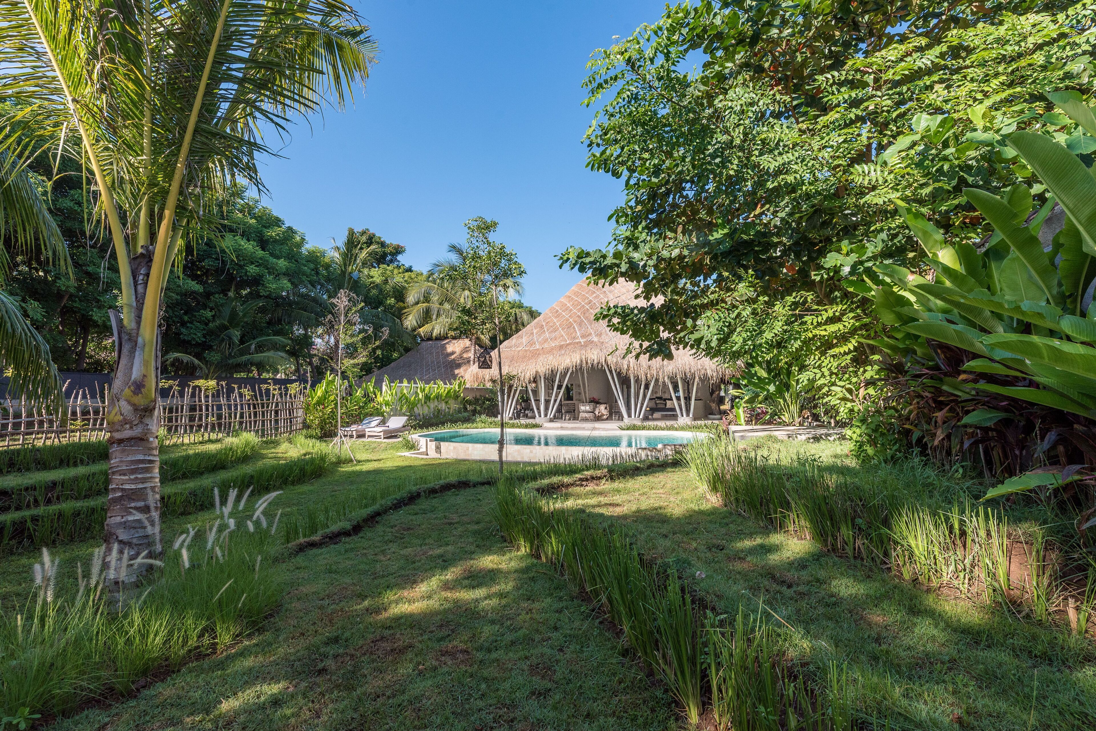 A lush garden with a pool, palm trees, and a thatched-roof structure.