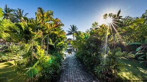 Un camino pavimentado bordeado de exuberante vegetación tropical, que lleva a un edificio a lo lejos.