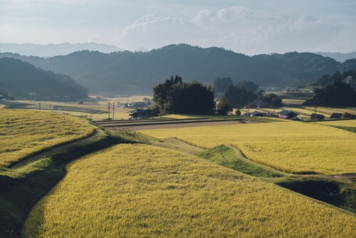 施設からの眺望