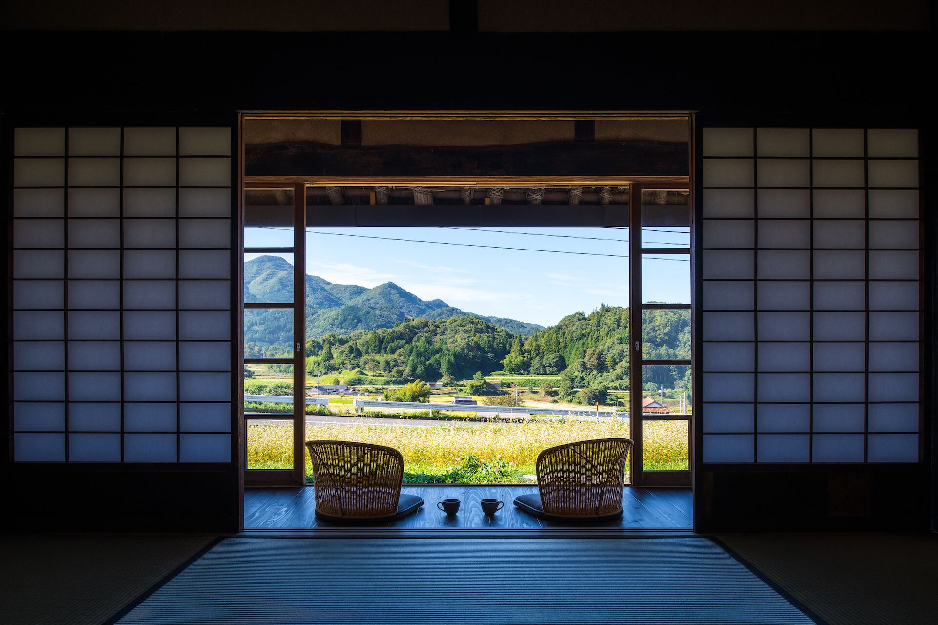 Vista des de l&#x27;habitació