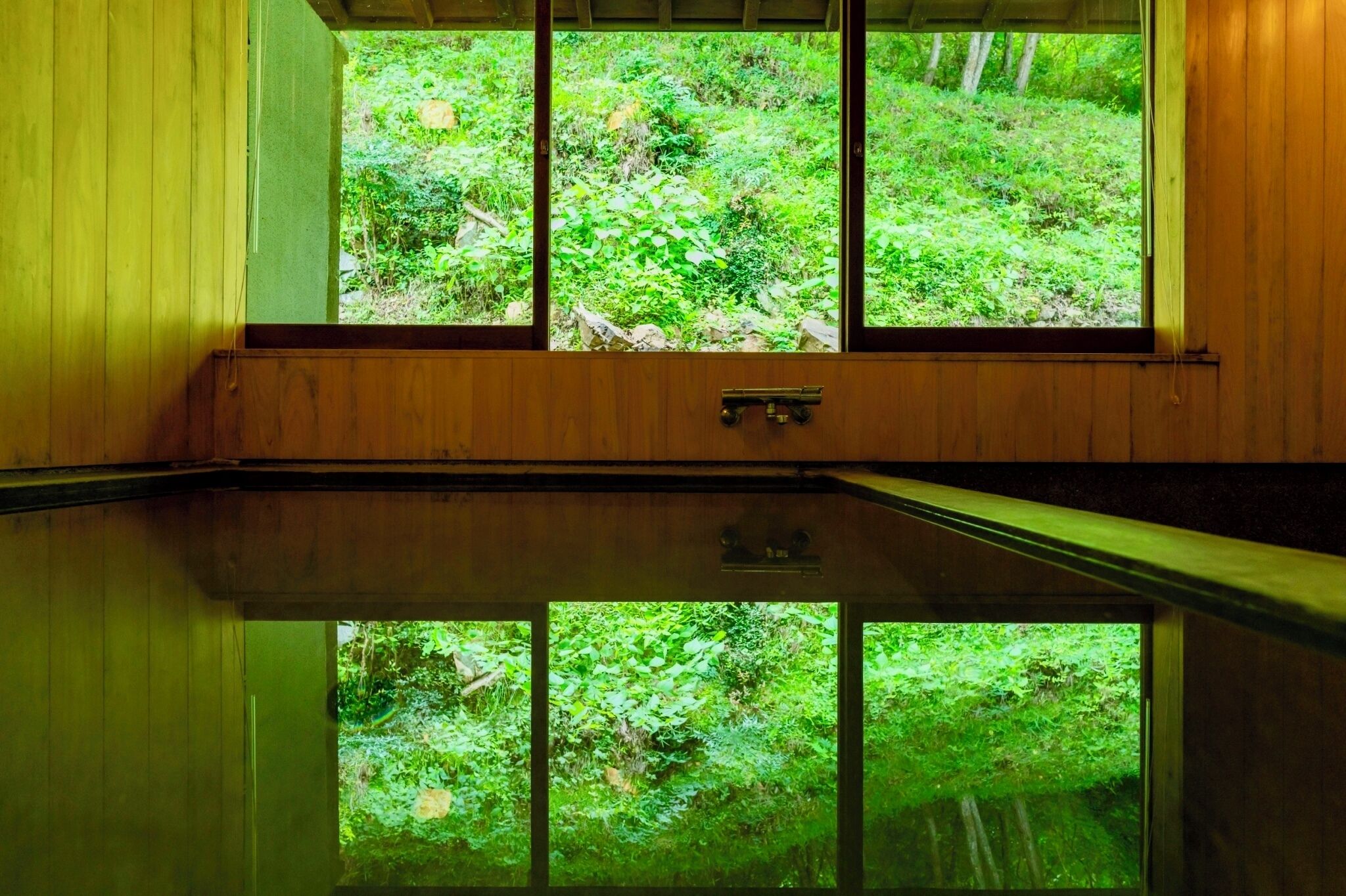 Habitació amb interior de fusta i una finestra gran que ofereix vistes cap a un bosc verd i frondós.