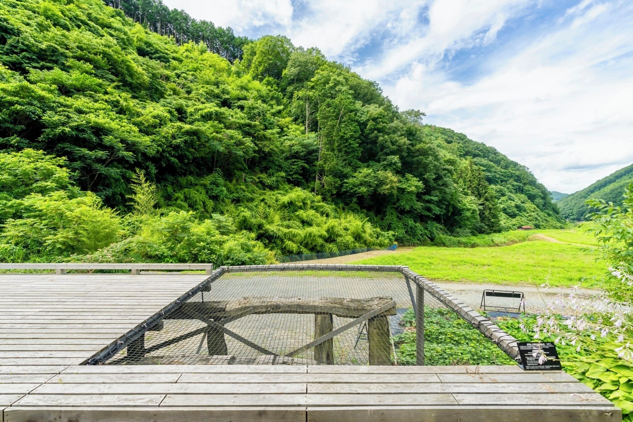 A wooden deck with a metal railing overlooking a lush green valley.