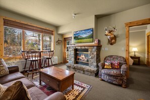 TV, fireplace, DVD player