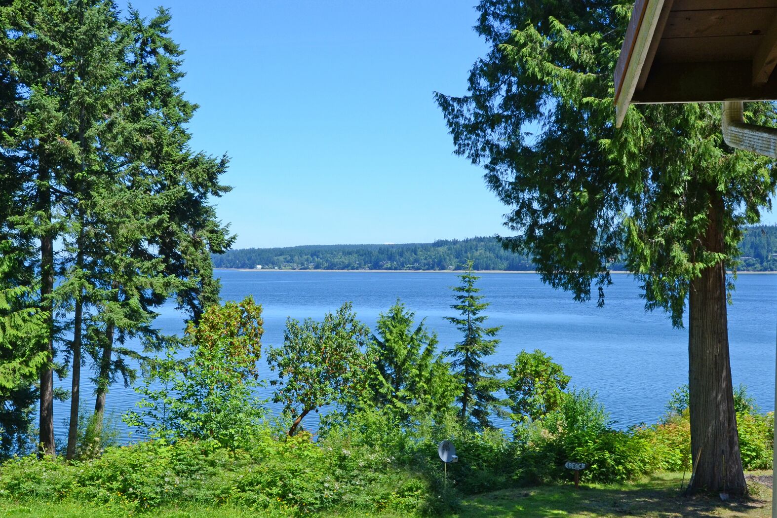 A lakeside view with dense greenery and a clear sky.