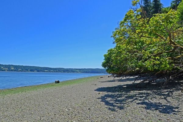 The woods open up to 500’ of private beach
