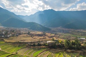Ngoại thất