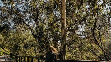 A person walking on a wooden boardwalk surrounded by trees.