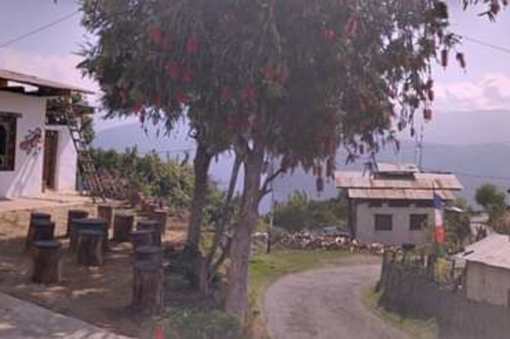 Thuji Homestays