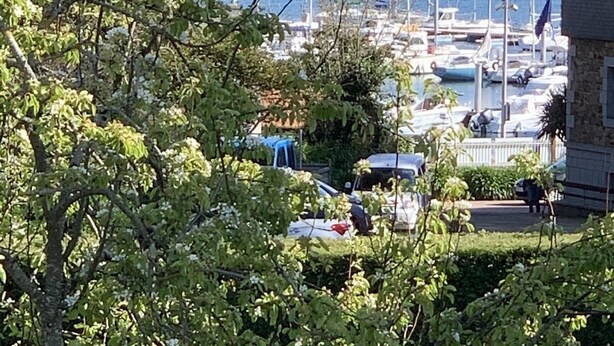 Un puerto deportivo con barcos amarrados, rodeado de vegetación y un edificio de piedra.