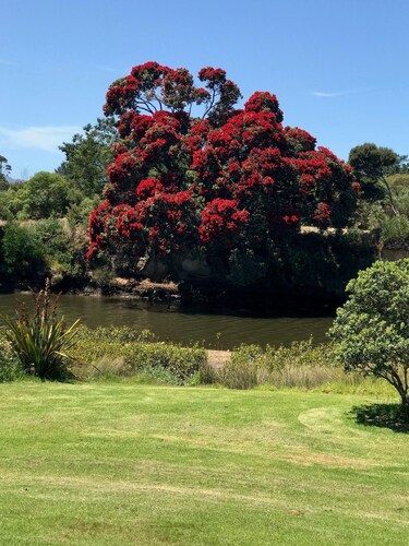 Ruakaka River and Beach Apartment