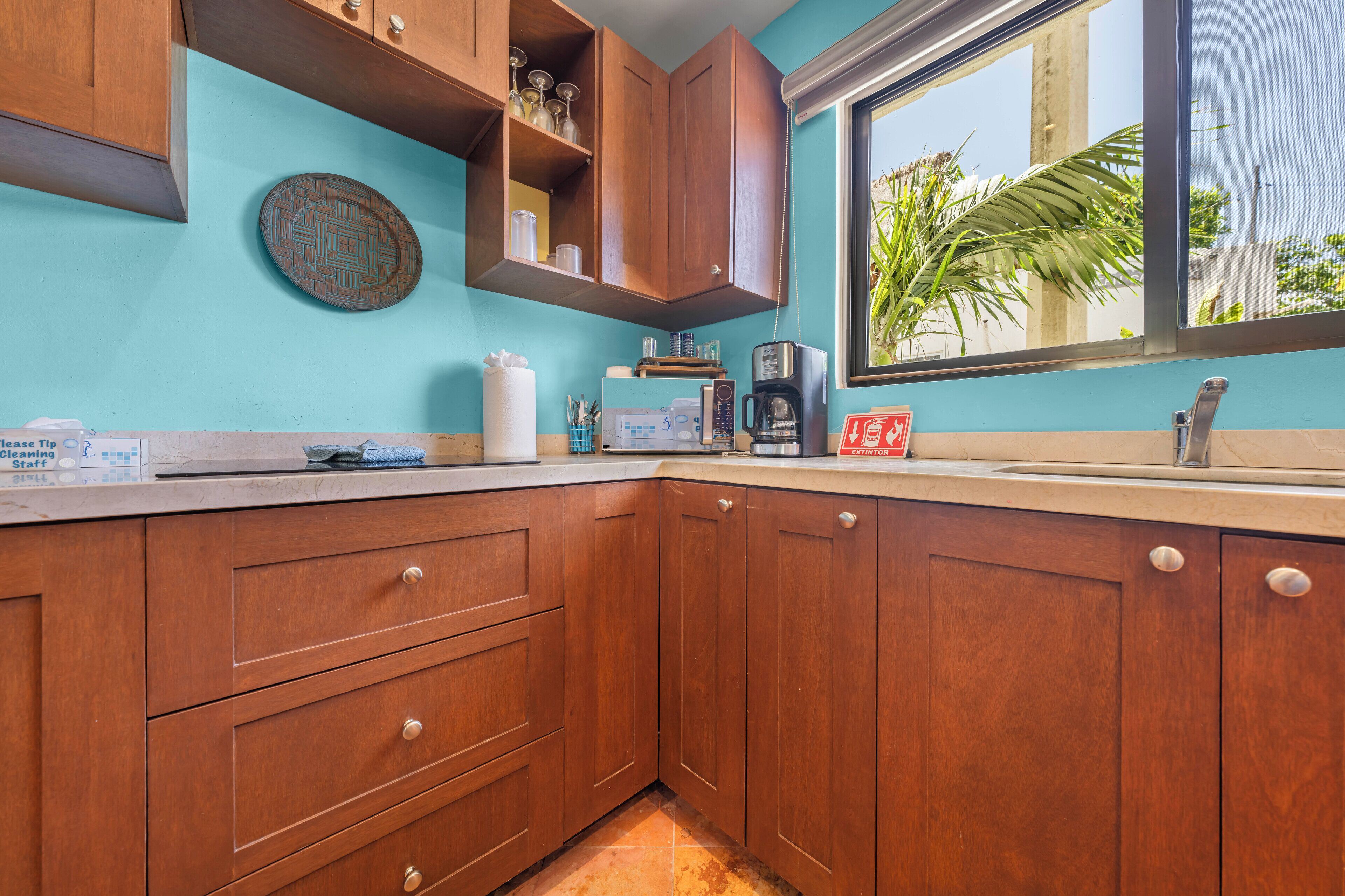 A kitchen with wooden cabinets, a countertop, a coffee maker, and a window with a view of palm trees.