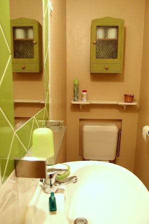Shower, hair dryer, towels, toilet paper