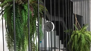 A modern interior with vertical black railings, hanging ferns, and a clock on the wall. - Goodnight Poshtel (Hat Yai)