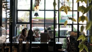 A café interior with large windows, a coffee machine, and hanging plants. - Goodnight Poshtel (Hat Yai)