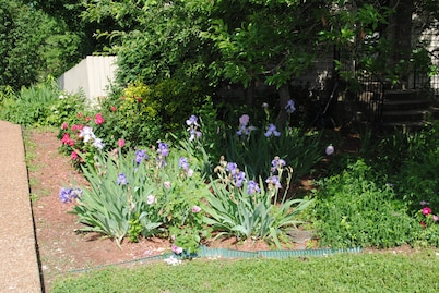 Spacious, beautifully designed, spectacular views, salt water pool.