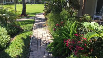 Terrein van de accommodatie