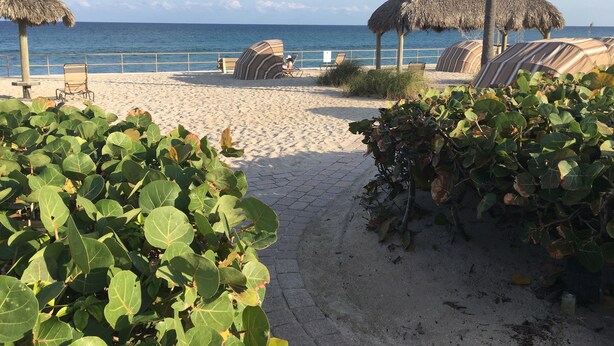 Ein Strand mit Strohdächern, Liegestühlen und einem gepflasterten Weg.