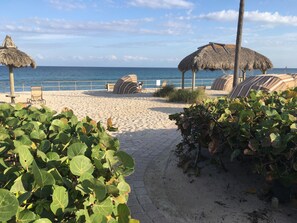 A beach with thatched umbrellas, lounge chairs, and a paved walkway. - Beach Front Villa, 50 feet to the beach (Hillsboro Beach)