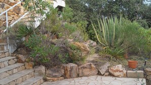 Un pati de pedra amb diferents plantes i una escala que condueix a un edifici.