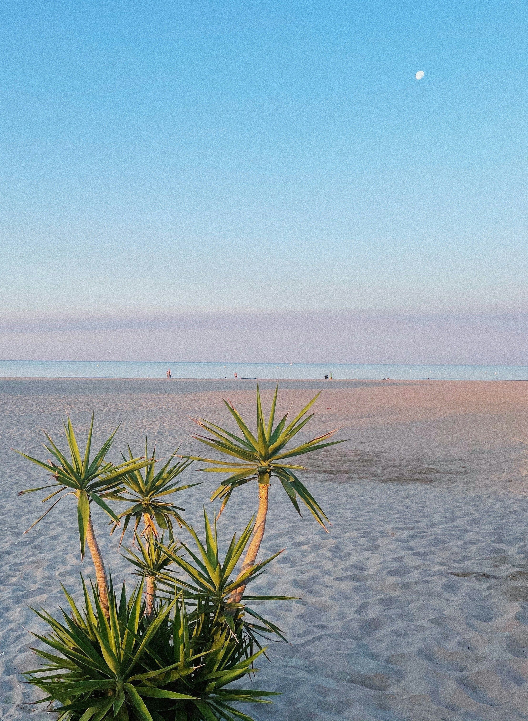 Plage