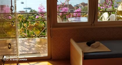 New and completely renovated apartment (5+1)