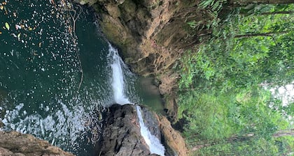 Paraisoverde -Corcovado