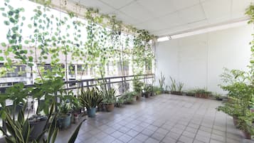 外觀