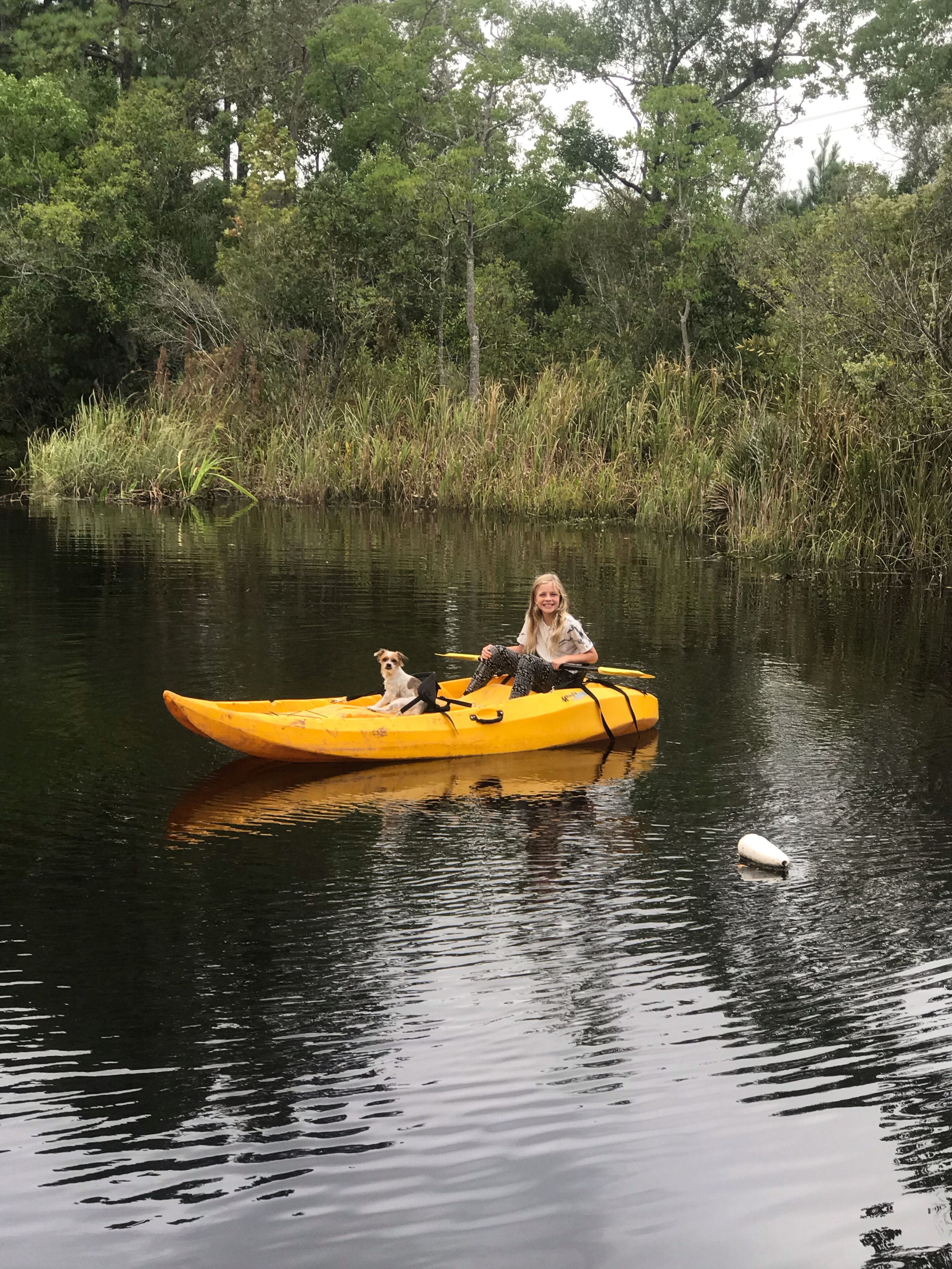 Un kayak amarillo sobre aguas tranquilas, con un perro y una persona.