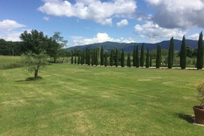 Overnattingsstedets uteområder