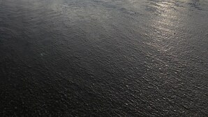 Una spiaggia con mare calmo e cielo sereno.