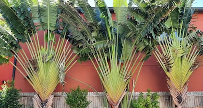 🦩Book Me Baby! Pool, Pet-Friendly Paradise Near Downtown Sarasota🦩