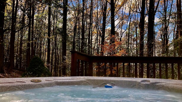 Een hottub omringd door bos, met een houten terras.