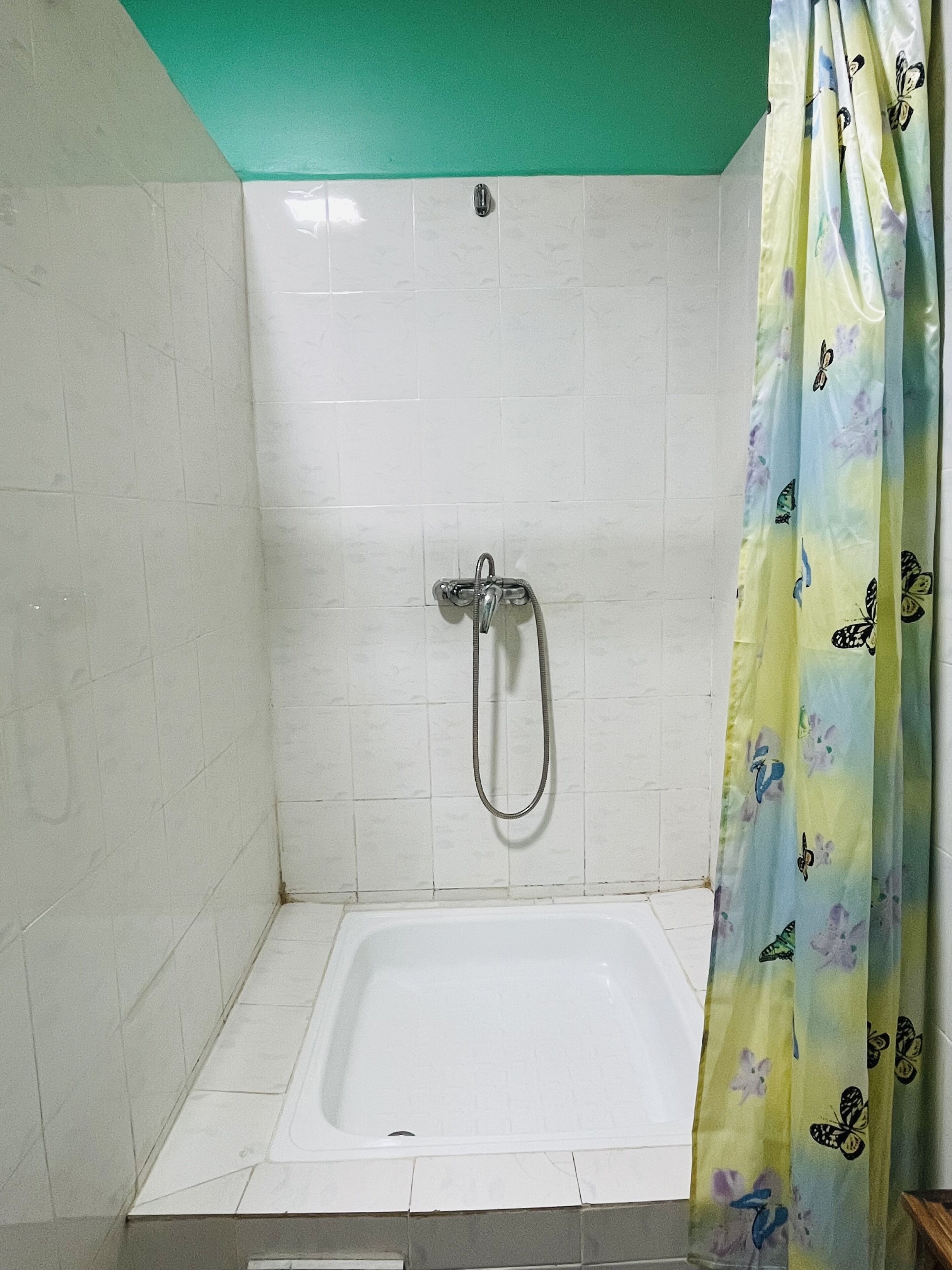 A bathroom with a white bathtub, a shower with a handheld showerhead, and a green ceiling.