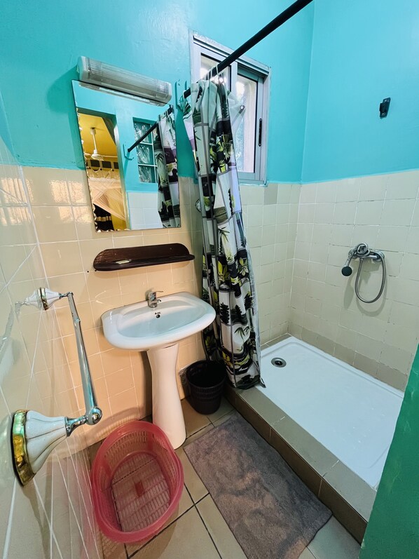 Une salle de bain avec un lavabo, une douche et des toilettes.