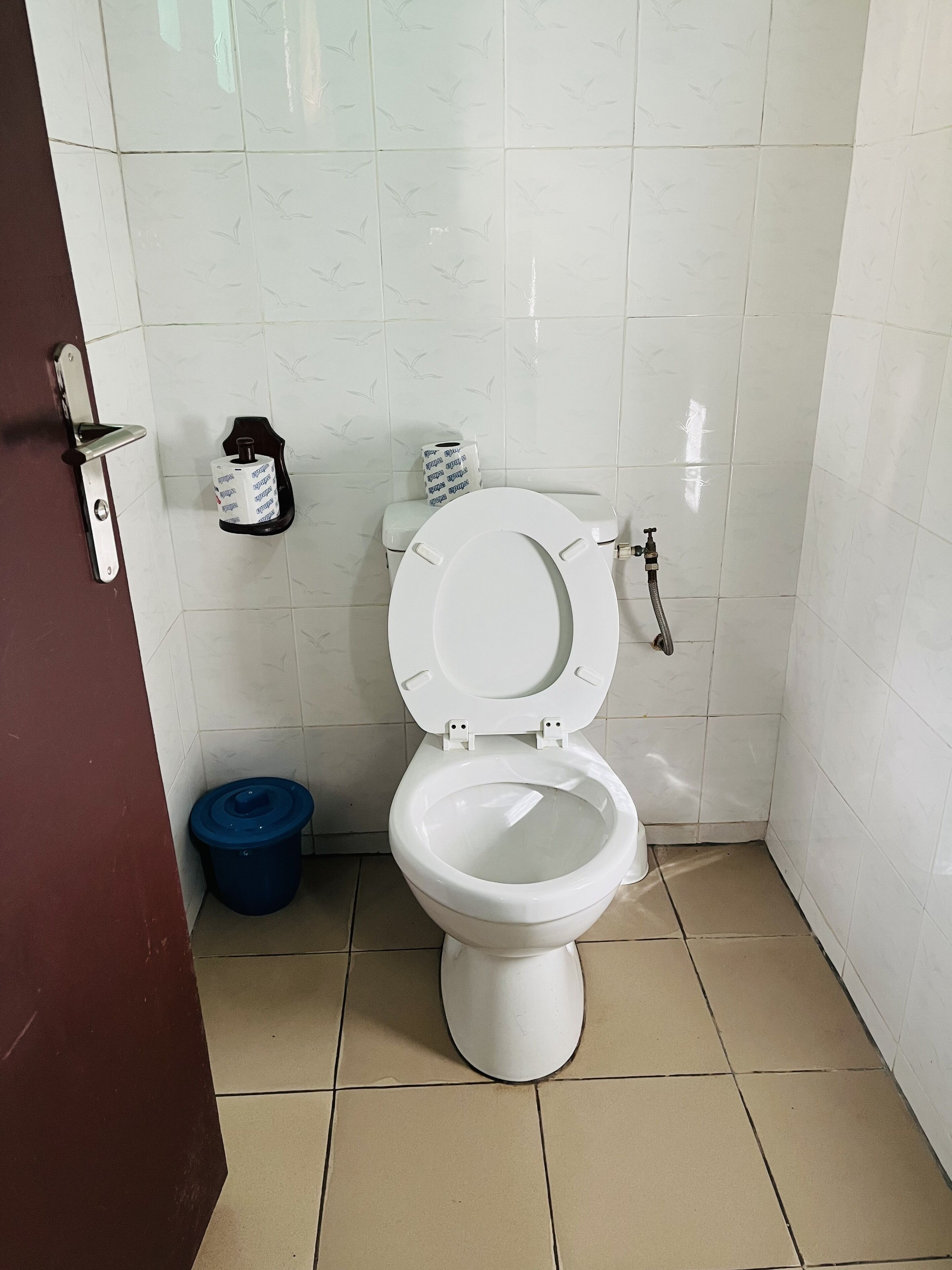 Un baño con un inodoro blanco, un bote de basura azul y un dispensador de papel higiénico en la pared.