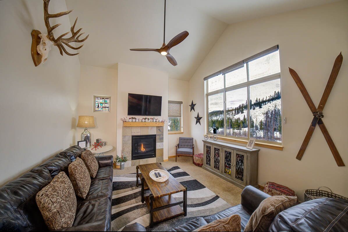 Televisión, chimenea, videojuegos, reproductor de DVD