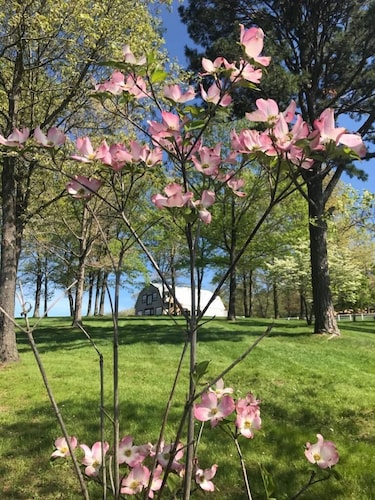 Great Views | Lakeside | Family-Friendly Barn | Reunions, Events, Retreats