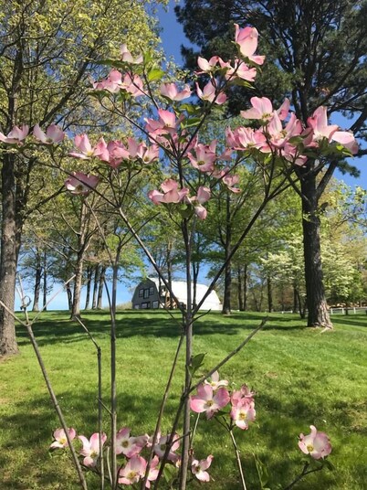 Great Views | Lakeside | Family-Friendly Barn | Reunions, Events, Retreats