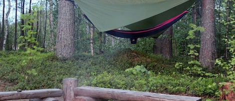 Un hamac suspendu entre des arbres dans une forêt, avec un feu de camp et des bûches à proximité.
