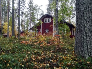 A cabin surrounded by tall trees and autumn foliage. - Villa raita by Interhome (Rääkkylä)