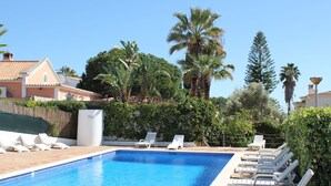 Ein rechteckiger Swimmingpool mit einer gefliesten Kante, umgeben von weißen Liegestühlen und Palmen.
